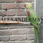 Alexander Parkieten mutaties