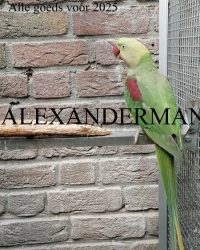 Alexander Parkieten mutaties