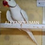 Alexander Parkieten mutaties