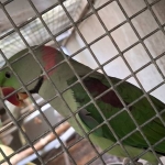 Alexander Parkieten diverse mutaties