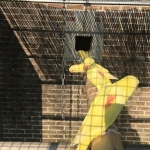 Gele Alexander poppen 2025, groene alexander poppen groen/ blauw 2025