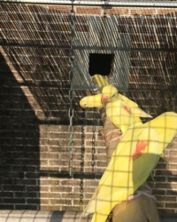 Gele Alexander poppen 2025, groene alexander poppen groen/ blauw 2025